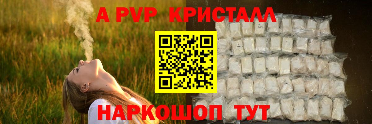 Альфа ПВП СК Грозный
