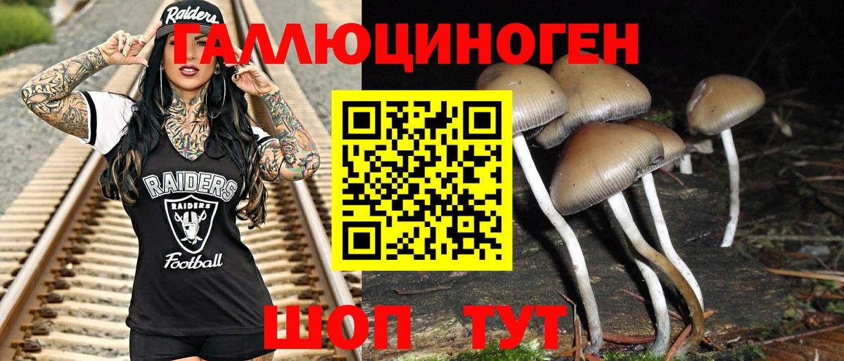 Псилоцибиновые грибы прущие грибы Грозный